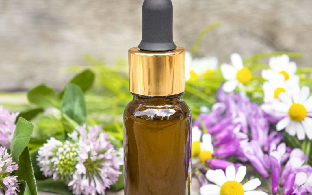 Quand les plantes deviennent médecine – Mimosalia 25/01/2026