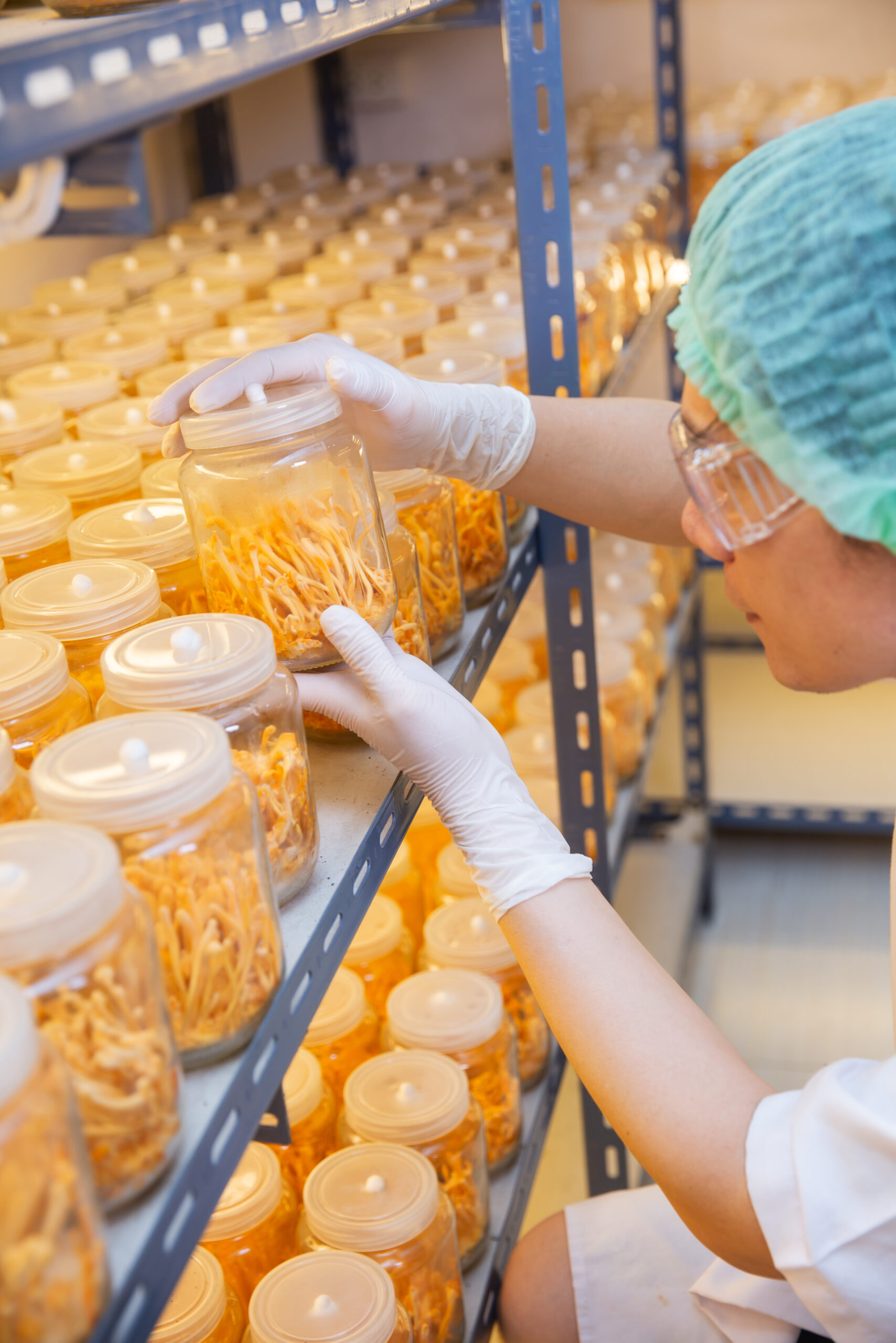 care-and-attention-in-cultivating-cordyceps-2026-01-09-11-42-25-utc