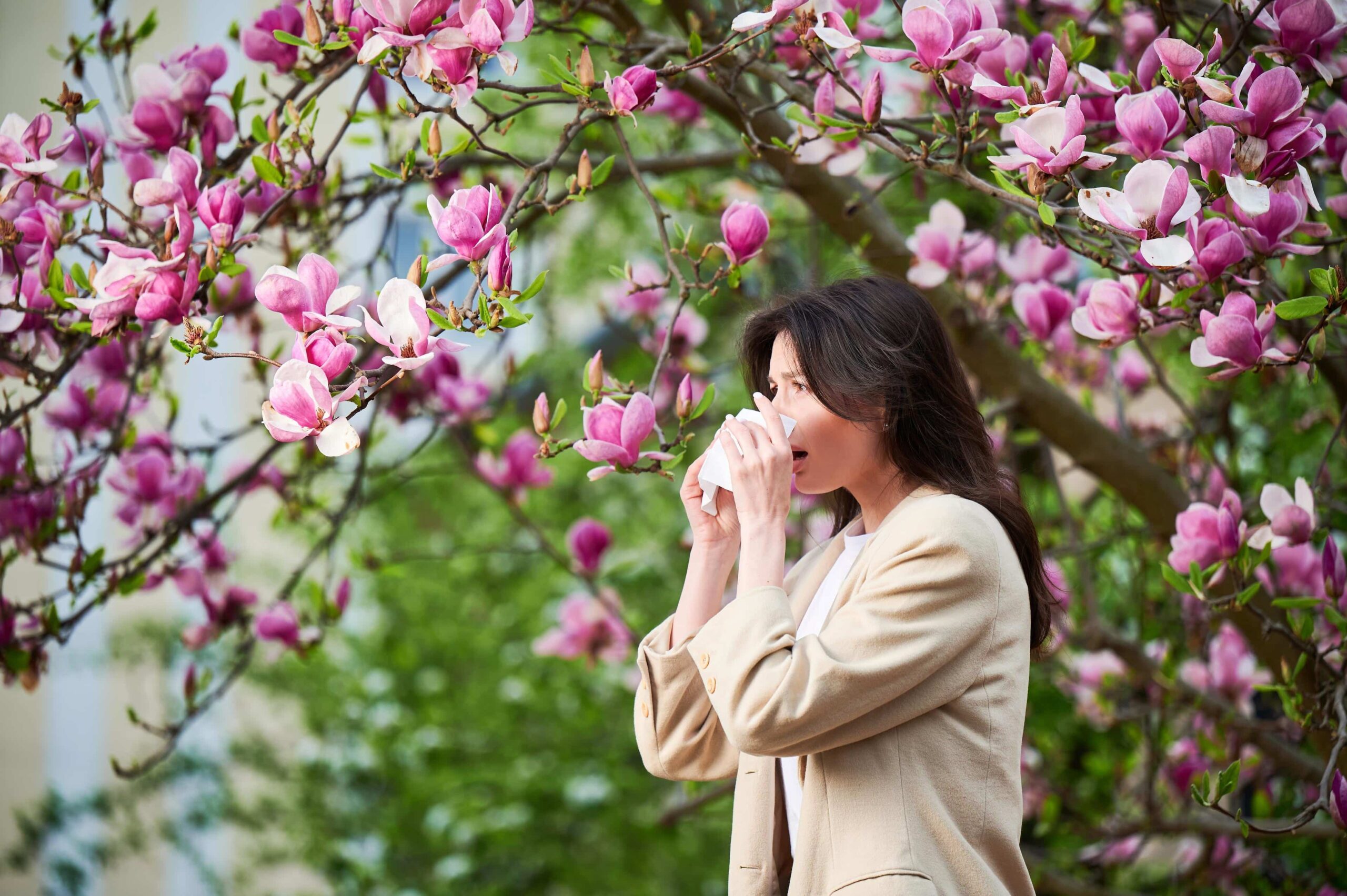 Rhinite allergique saisonnière Rhinite allergique saisonnière